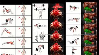 Best gym video lesson to make your body fitness 3002 [upl. by Petra]