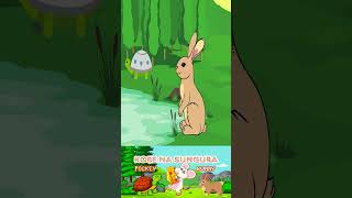 MBIO ZA SUNGURA NA KOBE  Pockey NA BUNNY  Hare and Tortoise story kiswahili 2024  part 1 [upl. by Adiuqram35]