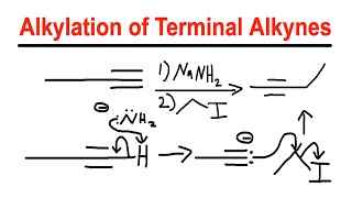 Alkylation of Terminal Alkynes  NaNH2Alkyl Halide  Organic Chemistry [upl. by Ueih75]