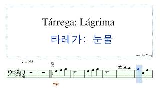 타레가 눈물 첼로 편곡 Tárrega Lágrima for Cello [upl. by Ecerahs]