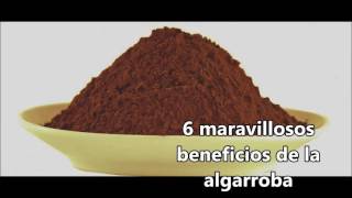 6 Maravillosos Beneficios de la Algarroba [upl. by Gensmer525]