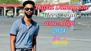 Dayax DalnuursheHees CusubWaa Adiga2024 [upl. by Eyot]