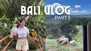 vlog gaje 6 Bali wgede kintamani⛰️ penglipuran village🛖 bali safari🐘  LAST DAY [upl. by Borgeson]