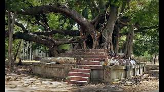 The Spiritual Fire of Dakshineswar [upl. by Anhoj]