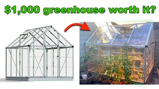 Greenhouse Review after 1 year of using the Palram Canopia Greenhouse [upl. by Brout]