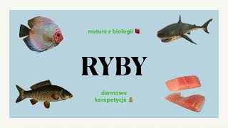 29 Ryby  budowa charakterystyka 🐟 matura z biologii 📕 liceum ✅ [upl. by Aedni]