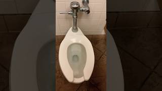 Men’s Kohler Highcrest Toilet Flush  Chuck E Cheese Pearl City O’ahu Hawai’i  Desensitization [upl. by Rrats]