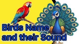 Birds name and their soundBirds soundBirds NameBirds name for kids [upl. by Lav122]