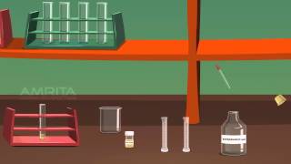 Detection of Albumin in Urine  MeitY OLabs [upl. by Pomfret]