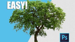 How to REMOVE Backgrounds with COLOR RANGE Tool in Photoshop Easy and Fast Tips for Beginners [upl. by Yevi454]