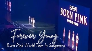 Forever Young  Blackpink Born Pink World Tour In National Stadium Singapore 13 May 2023 [upl. by Remat507]