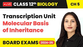 Transcription Unit  Molecular Basis of Inheritance  Class 12 Biology Chapter 5  live [upl. by Elokkin]