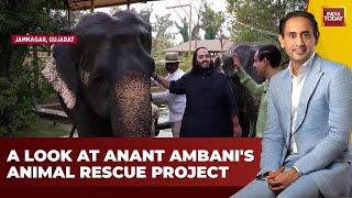 LIVE Anant Ambanis Animal Rescue Mission Unveiled on Jab We Met With Rahul Kanwal  India Today [upl. by Nevag896]