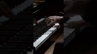 Chopin Ballade No 1 710 [upl. by Latta]