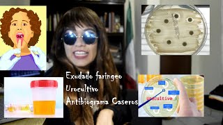 Exudado faringeo Urocultivo y Antibiograma Casero [upl. by Alvar]