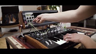 Arturia announces MiniBrute 2 EcoSystem MiniBrute 2 MiniBrute 2S RackBrute 3U6U [upl. by Onfroi]