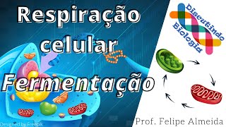 Aula de Fermentação respiração anaeróbica [upl. by Dionis761]