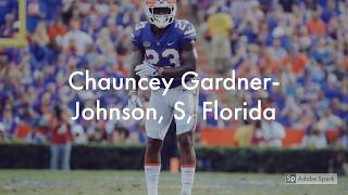 Chauncey Gardner Johnson Scouting Report [upl. by Gambrell740]