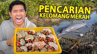 PENCARIAN KELOMANG MERAH DI ALAM GAK SENGAJA KENA CAPIT SAKIT BANGET [upl. by Bruno]