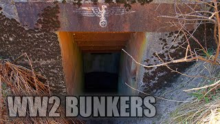 WW2 Bunkers in the forest [upl. by Llesirg]