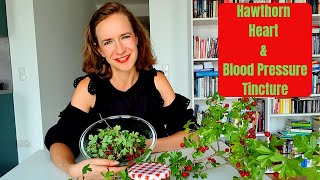 How to Make a Hawthorn Tincture for Healthy Heart and Blood Pressure [upl. by Eigna]