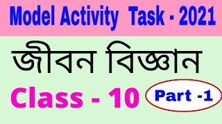 Model activity task class 10 life science part 1 [upl. by Gebelein]