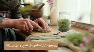 All About Crafting Tinctures  Herbal Medicine Making  How to Guide [upl. by Liza]