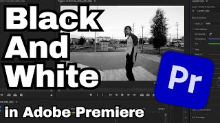 How to Make Video Black and White in Adobe Premiere Pro CC  Adobe Tutorial [upl. by Esaertal]