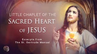 The Chaplet of the Most Sacred Heart of Jesus [upl. by Barrada]