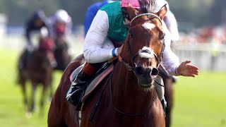 Frankel is flawless in 2012 Juddmonte International Stakes [upl. by Eisyak]