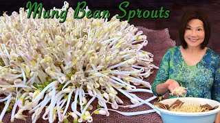 How to Sprout Mung Beans  Done Right and Perfect Every Time 發綠豆芽 [upl. by Attelrak]