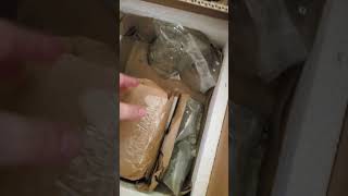 Red fish Blue fish unboxing going out of business sale 2024 long [upl. by Brina]