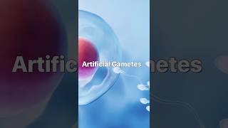 Artificial Gametes The Future of Reproduction or Crossing an Ethical Line science gametes [upl. by Atiuqihc227]