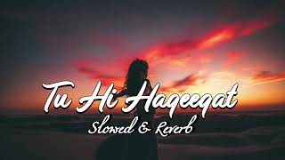 Tu Hi Haqeeqat  Slowed amp Reverb Lofi Song😌 [upl. by Ahsilak]