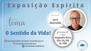 Tema O sentido da vida  José Murialdo [upl. by Aeila36]