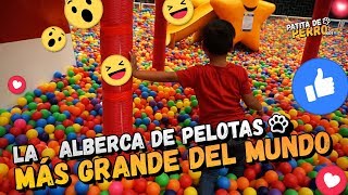 La alberca de pelotas más grande del mundo  Patita de Perro Kids 🐶 [upl. by Aneeroc]