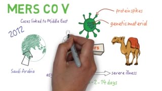 MERS CoV  An overview [upl. by Millham]