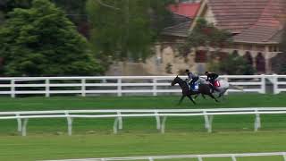 17 Sep Gallops Gallop 5 [upl. by Colby]