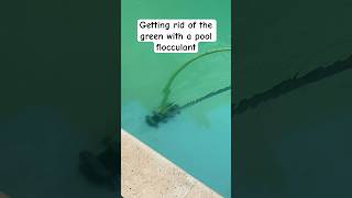 Pool Flocculant  Green to Blue when a pool shock just won’t do it Full video linked [upl. by Acinoda]