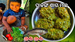 ଧନର ପାଳଙ୍ଗ ଶାଗ ମାଛ ଝୋଳ 😋l ବହୁତ ବୁଲିଲା ପରେ ଆସିଲେ l Palanga machha recipe l Gouranga Nayak Odia Vlogs [upl. by Ahsimat]