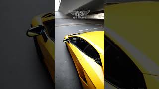 Lamborghini Aventador Love  971 58 129 6421  VIP Rent A Car [upl. by Leandro]