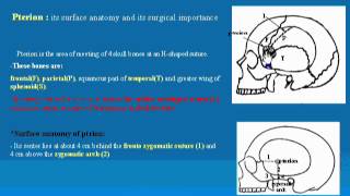 7 Pterion د  احمد مصطفى كمال [upl. by Okkin92]