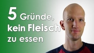 5 Gründe kein Fleisch zu essen  Urgeschmack [upl. by Alessandro418]