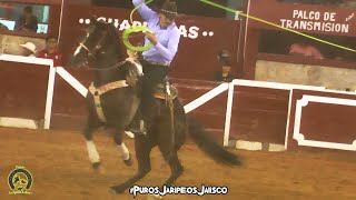 🚨🐴CABALLO HERIDO DE LosPrimosDeJalisco EN LA COPA MONUMENTAL 5º EDICION [upl. by Aniroz]