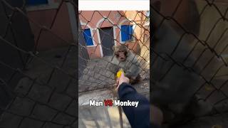 Man VS Monkey [upl. by Frasier]