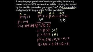 Hardy weinberg formula and mice population [upl. by Nivrae]