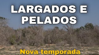 COMPLETO  LARGADOS E PELADOS 2023 6 NOVA TEMPORADA NA SELVA 2023 [upl. by Lleksah871]