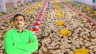 Control shed Broiler Chicken Day 7  poultry Broiler Chicken Farming  Aahad Tv [upl. by Iormina823]