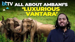 All You Need To Know About Anant Ambani’s Pet Project – The Vantara In Jamnagar [upl. by Erminna739]