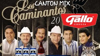 CANTON MIX CAMINANTES 2024 DJ FERNANDO [upl. by Walston]